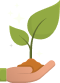 Tree Gift